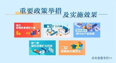 重要政策舉措及實(shí)施效果